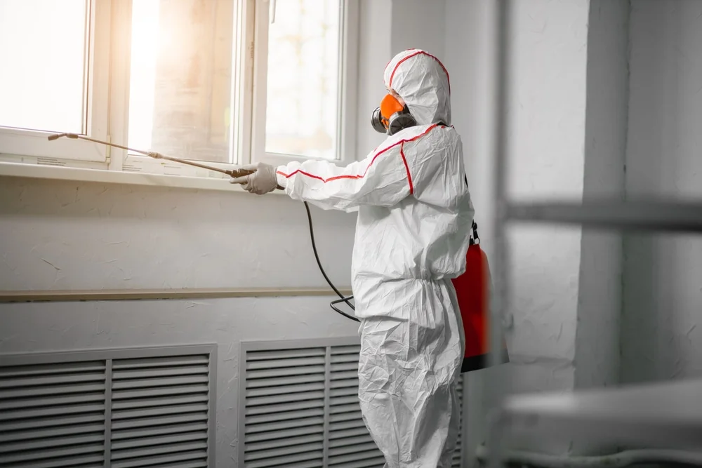 Professional mold remediation services in Aberdeen, ID